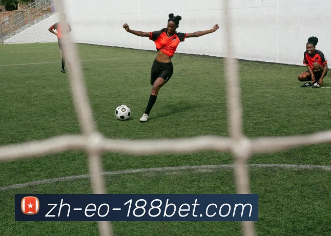 金宝博官网全站App